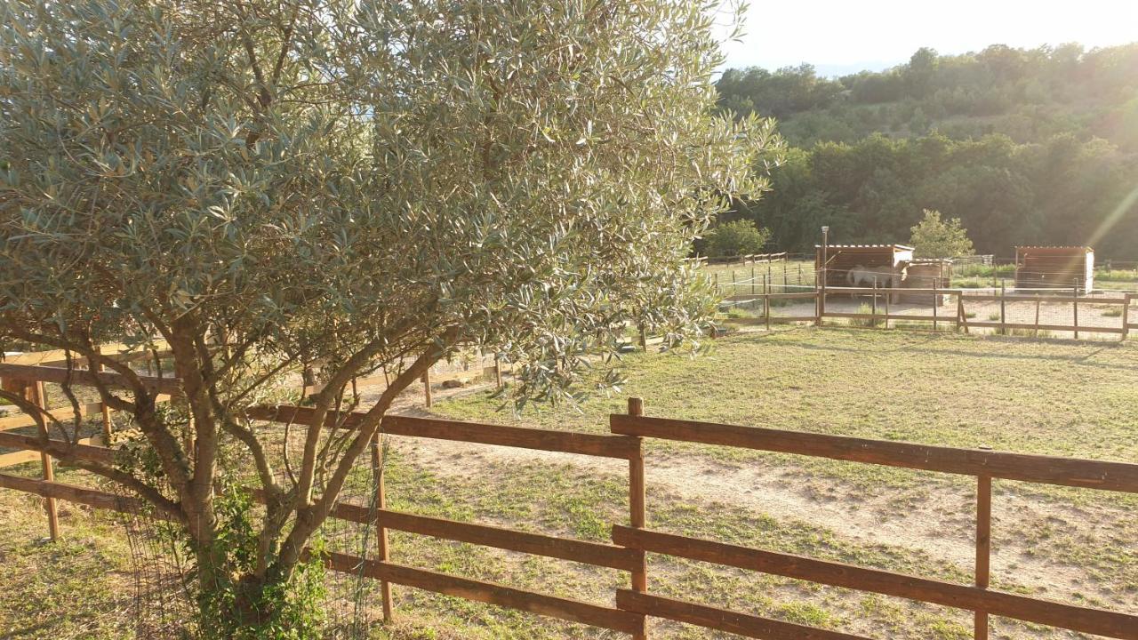 Chambre D'Hotes Le Petit Ranch Los Masos Luaran gambar