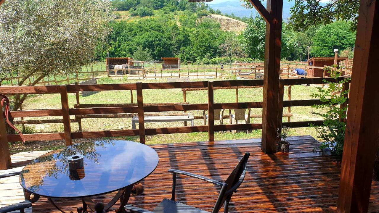 Chambre D'Hotes Le Petit Ranch Los Masos Luaran gambar