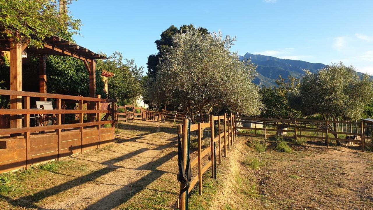 Chambre D'Hotes Le Petit Ranch Los Masos Luaran gambar