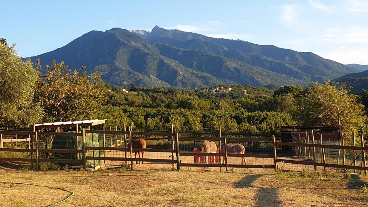 Chambre D'Hotes Le Petit Ranch Los Masos Luaran gambar