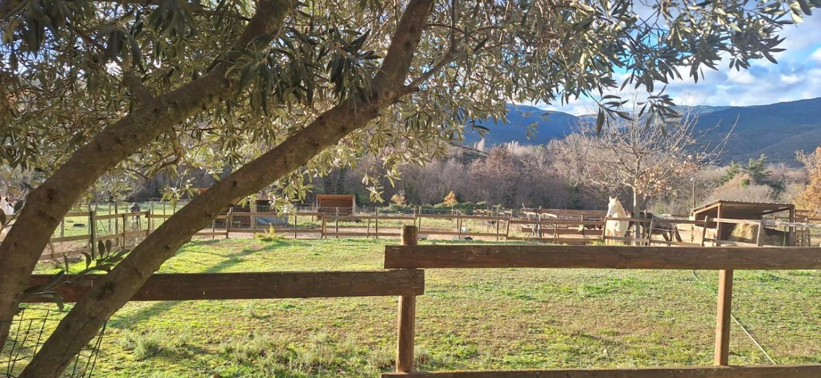 Chambre D'Hotes Le Petit Ranch Los Masos Luaran gambar